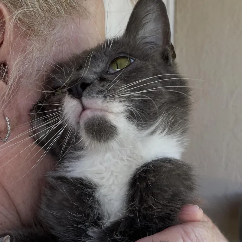 Mochi thumbnail 2