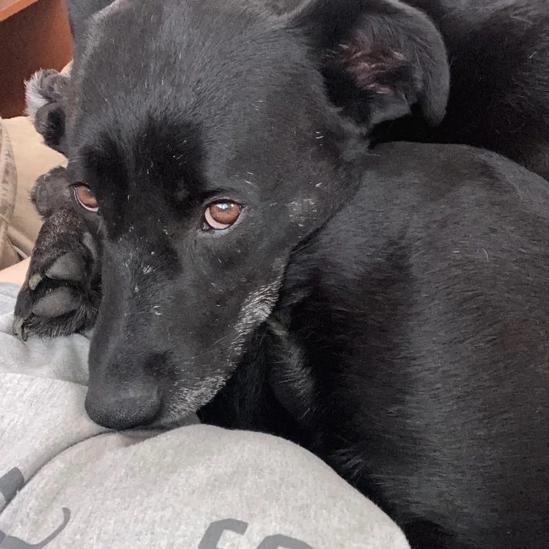 Midnight thumbnail 2