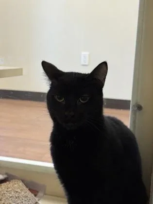 Bruce