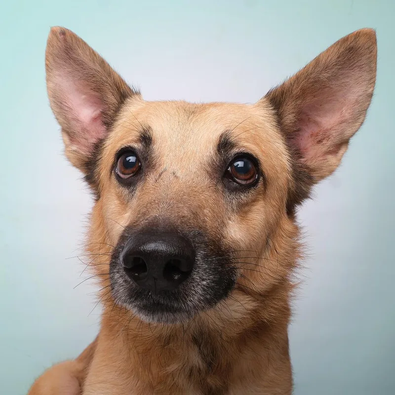 Maximo C thumbnail 2