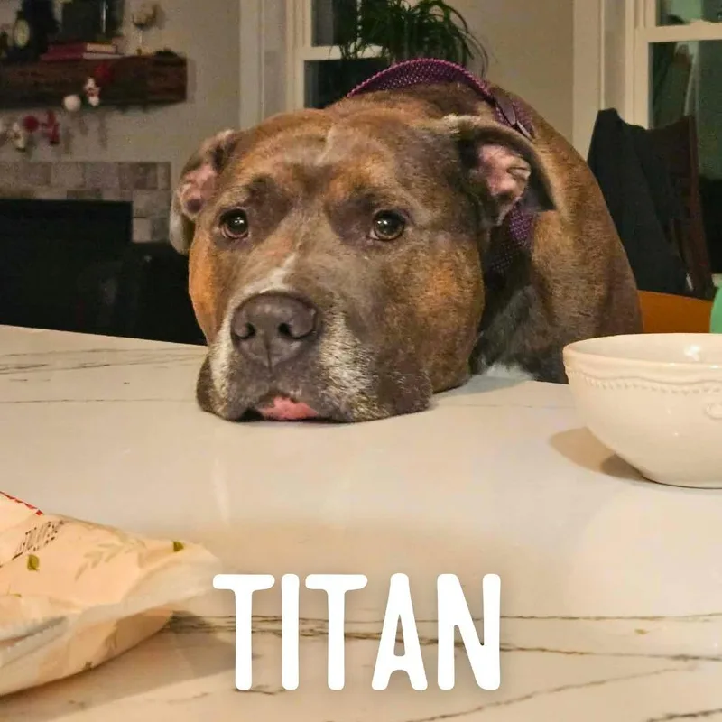 Titan thumbnail 2