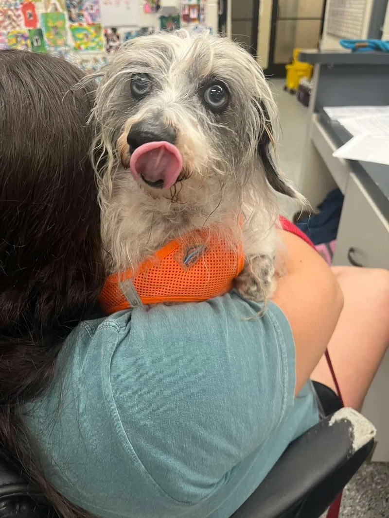 SidFrankie