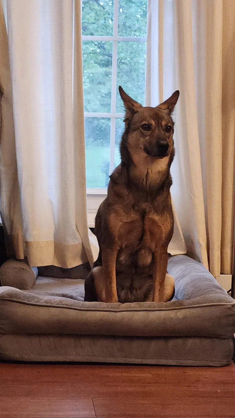 Tula Bean thumbnail 2