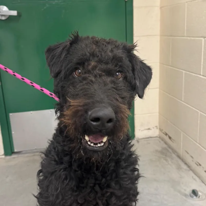 Montenegro thumbnail 2