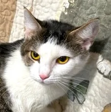 Amazing Amy thumbnail 3