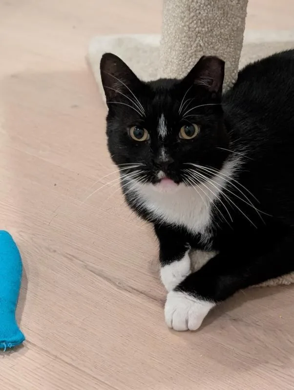 Bobby thumbnail 3