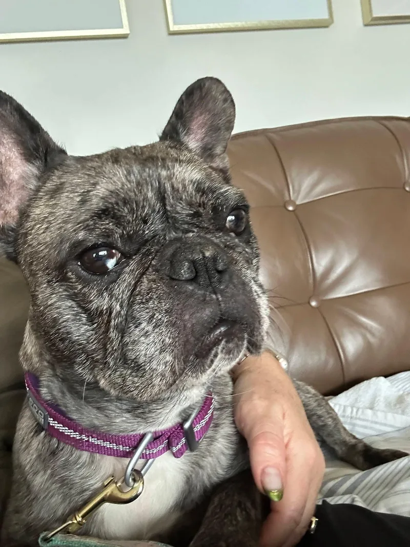 Peggy thumbnail 2