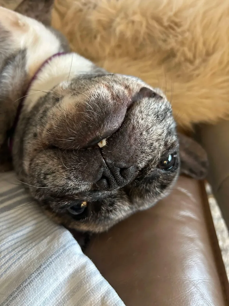 Peggy thumbnail 3