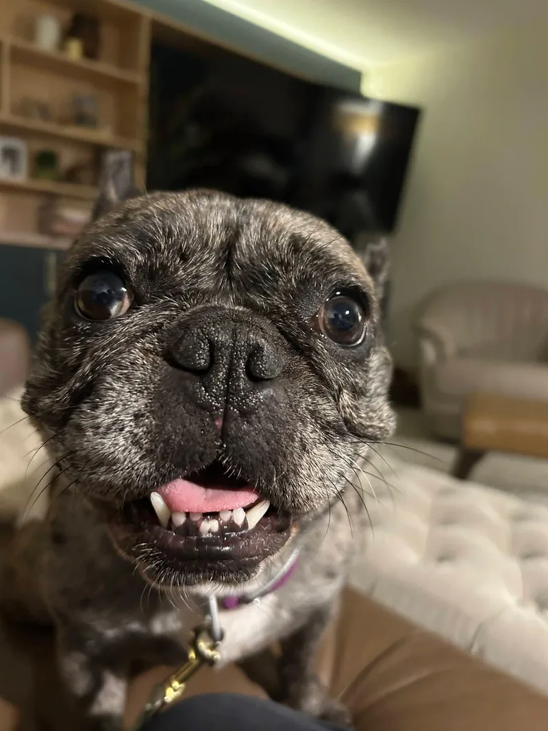 Peggy thumbnail 4