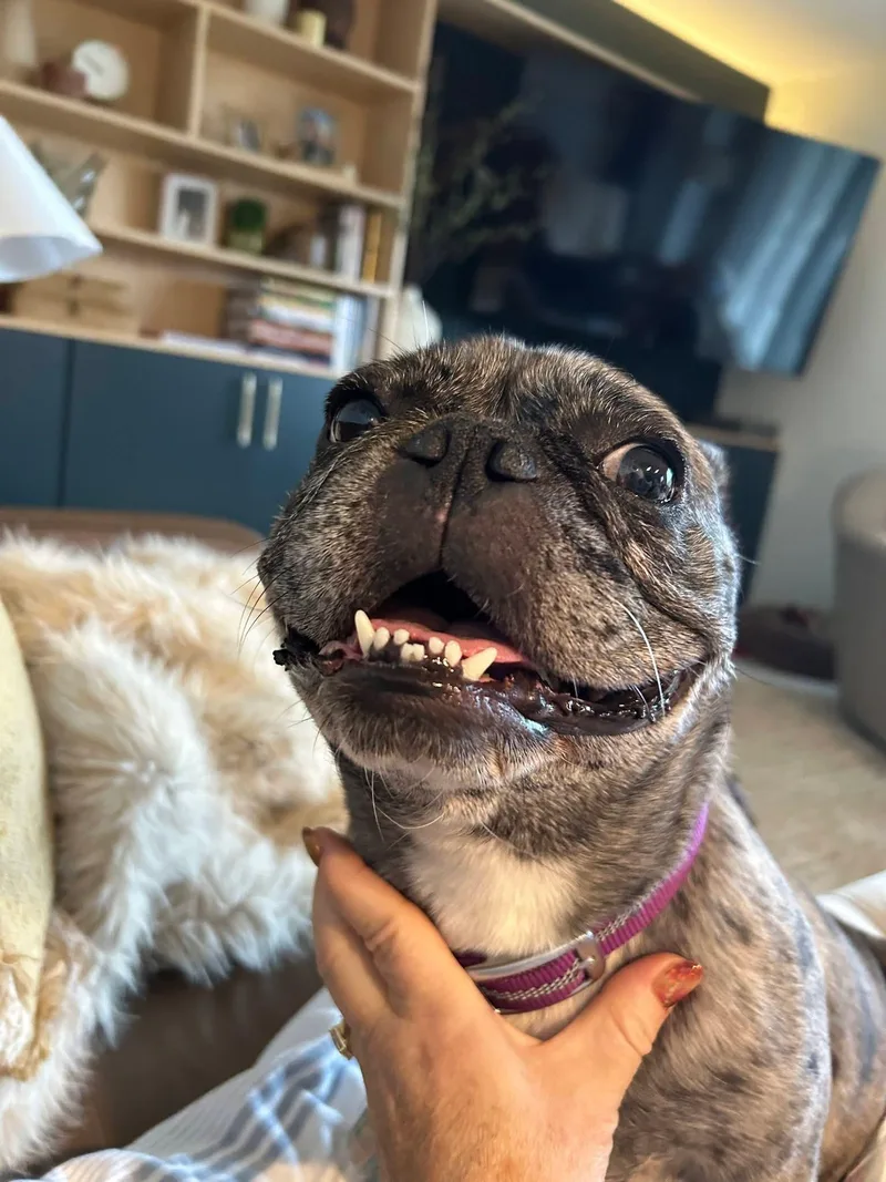 Peggy thumbnail 6
