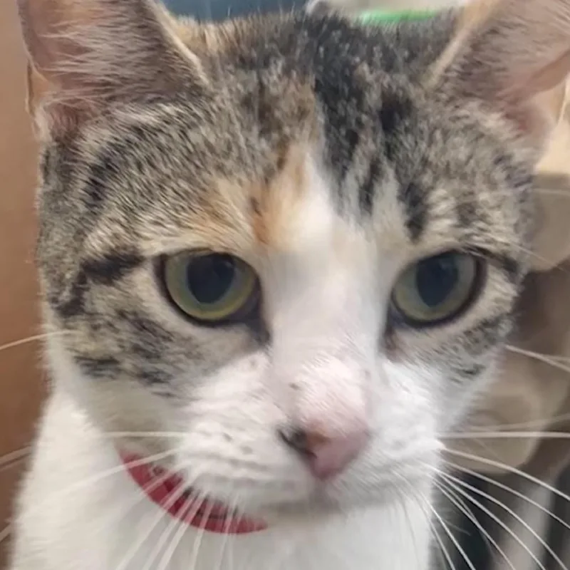 Sabrina thumbnail 2