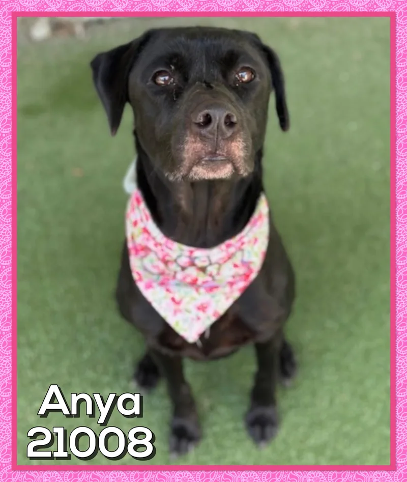 Anya thumbnail 2