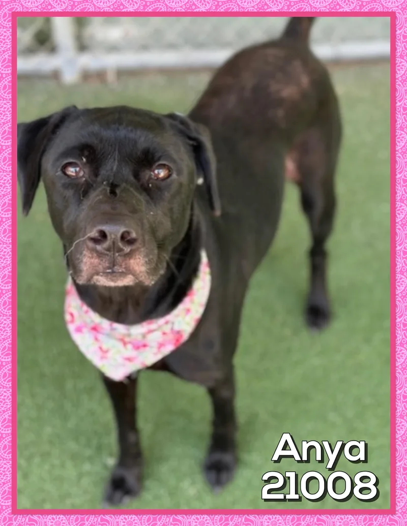 Anya thumbnail 3