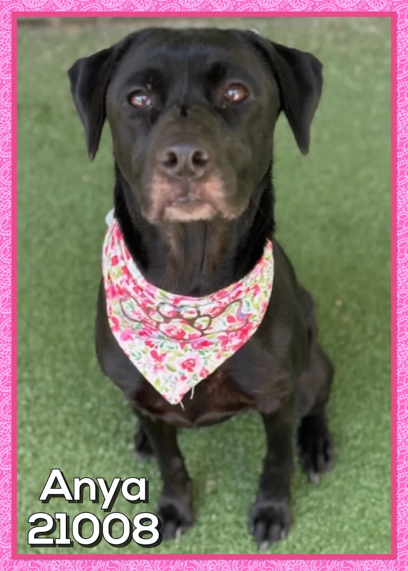 Anya thumbnail 6