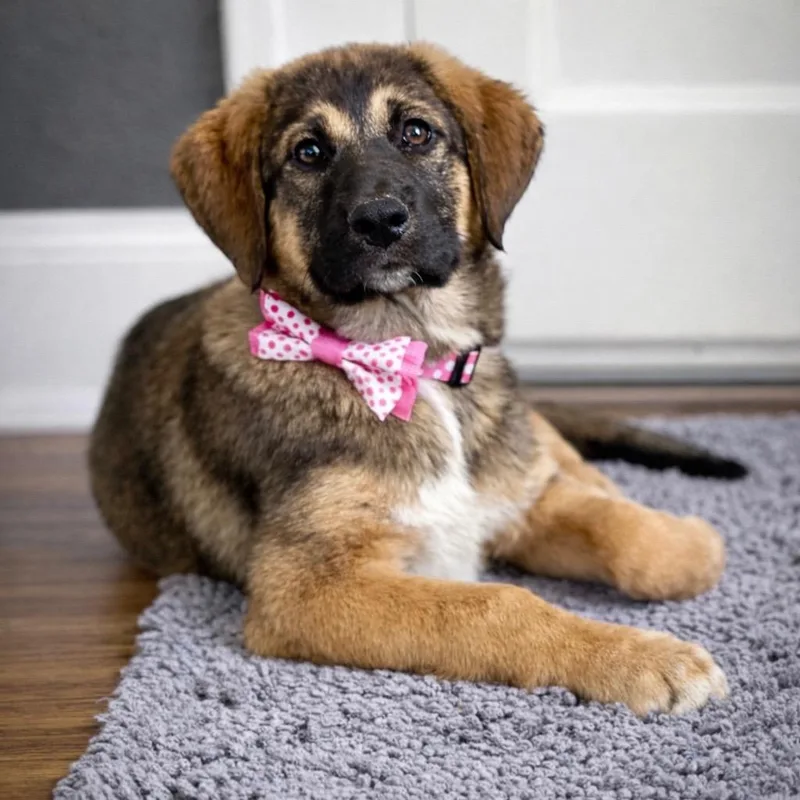 Milkshake thumbnail 2