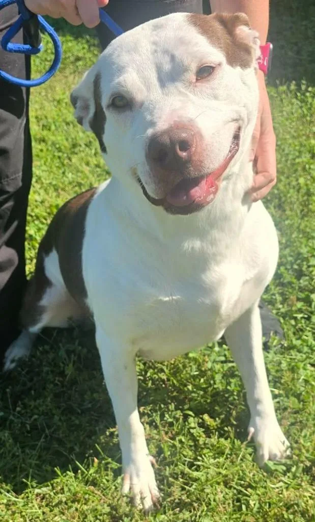 Coco