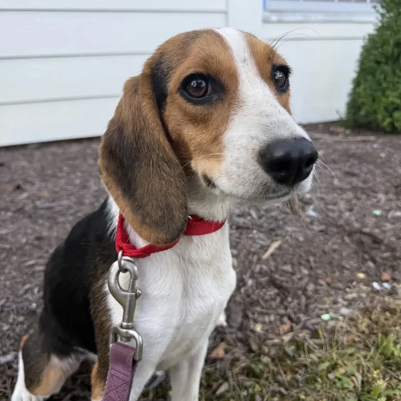 Ellie