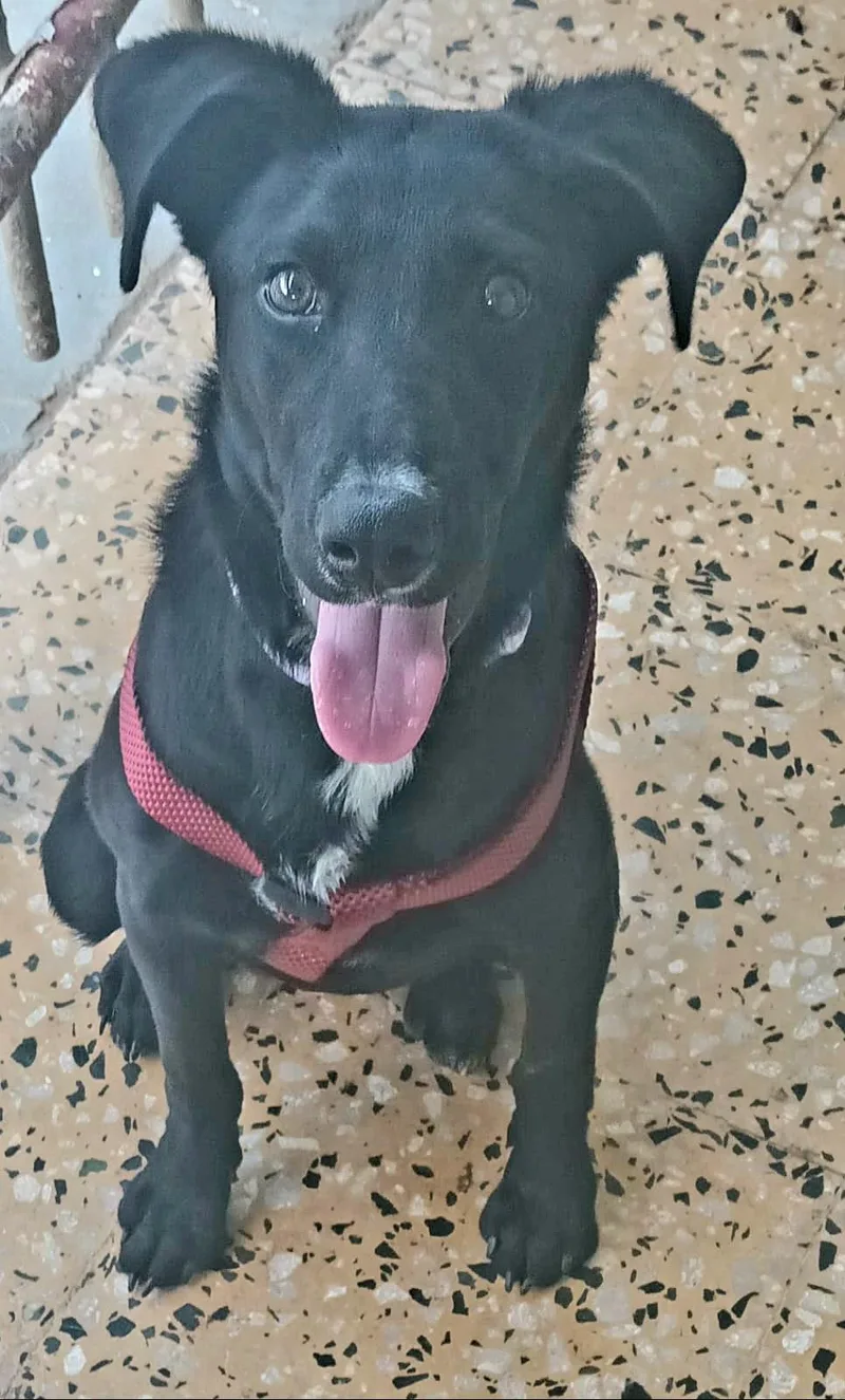 Cindy "be My Bestie!"