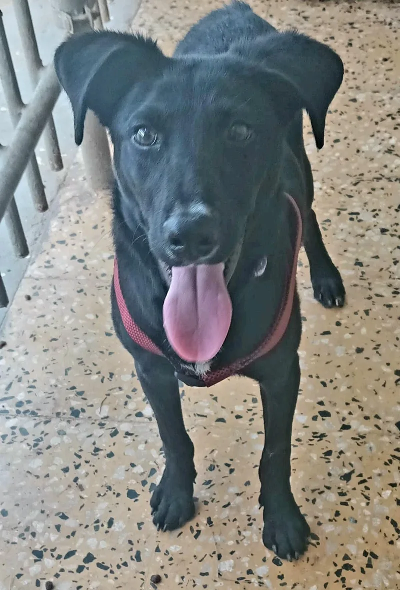 Cindy "be My Bestie!" thumbnail 2