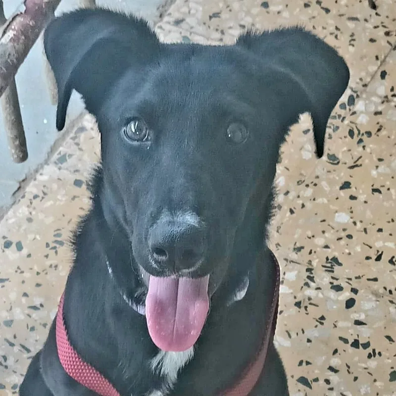 Cindy "be My Bestie!" thumbnail 3