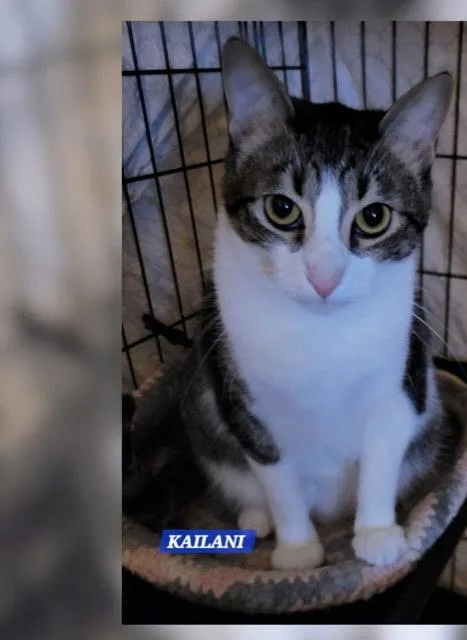 Kailani thumbnail 2