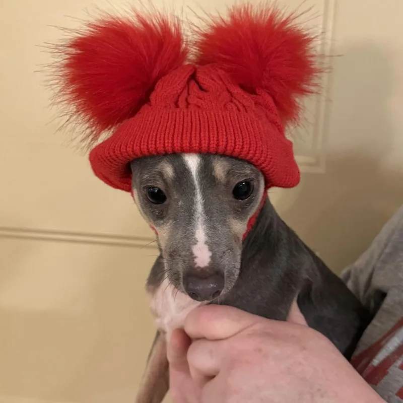 Esther