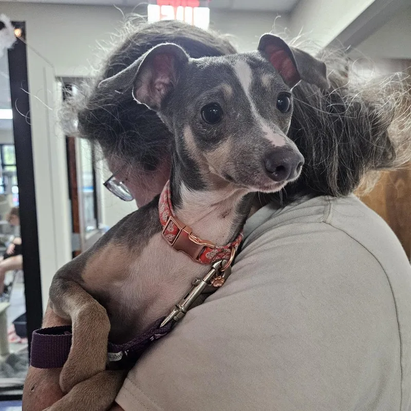 Esther thumbnail 2