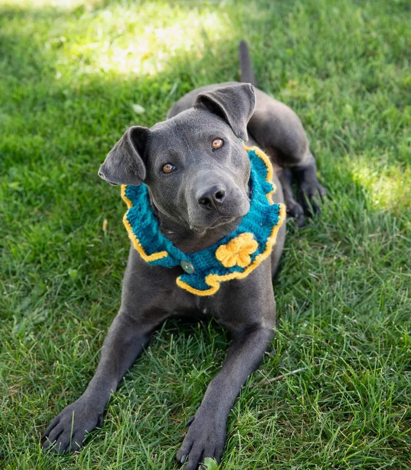 Thoolie Smith thumbnail 2