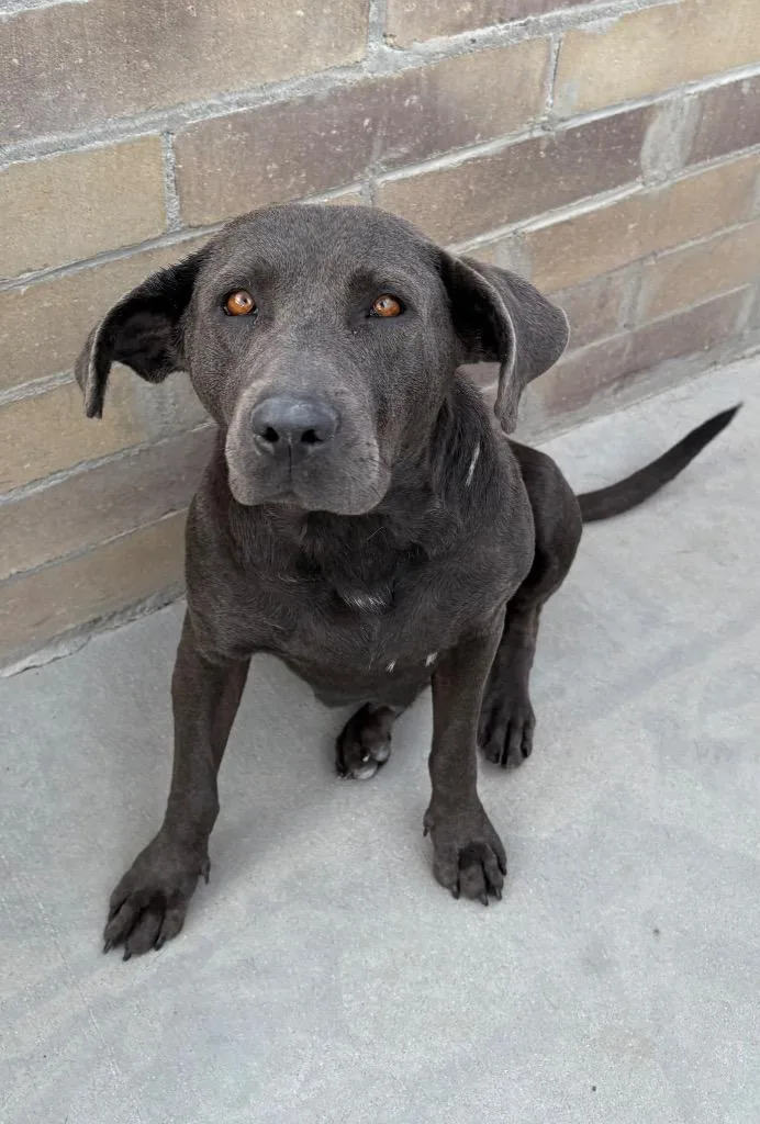 Thoolie Smith thumbnail 3