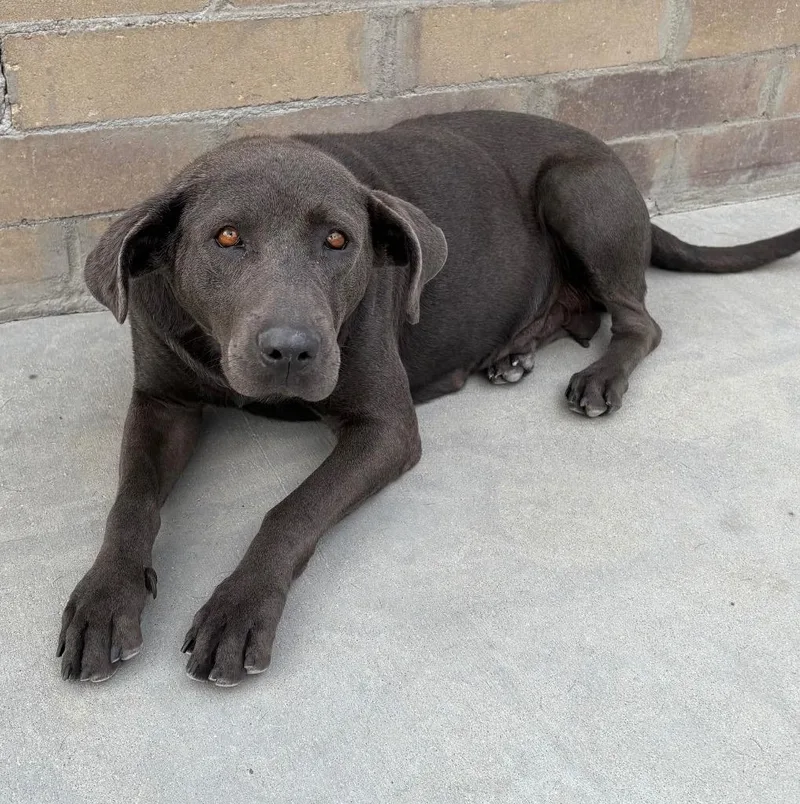 Thoolie Smith thumbnail 4