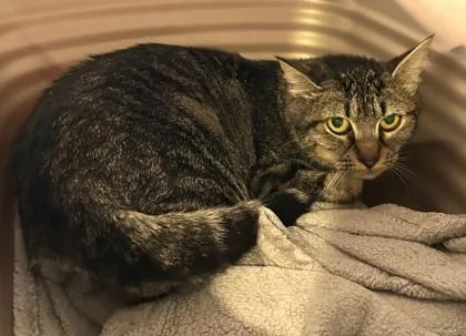 Wendi Bonded To Frick thumbnail 3