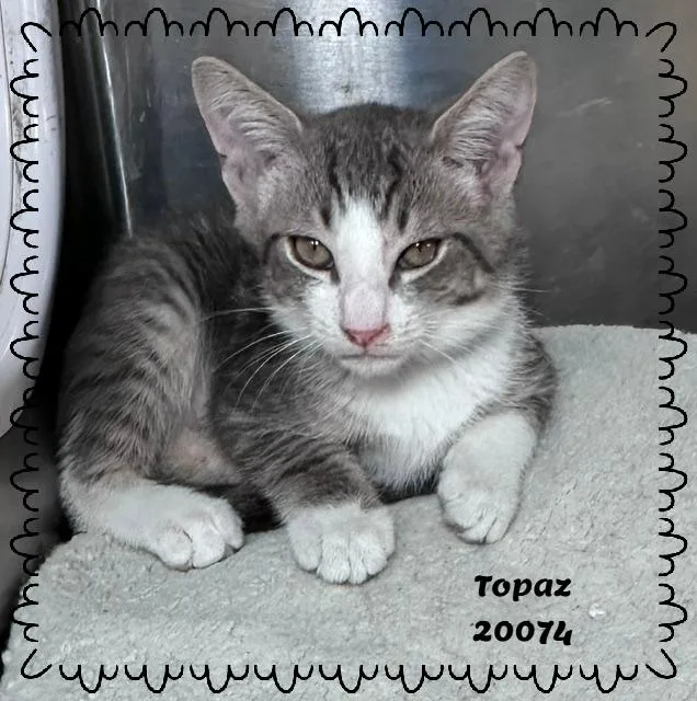 Topaz thumbnail 2