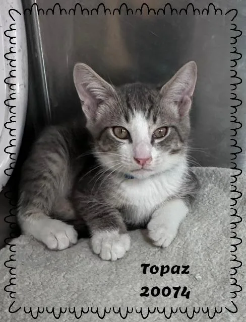 Topaz thumbnail 3