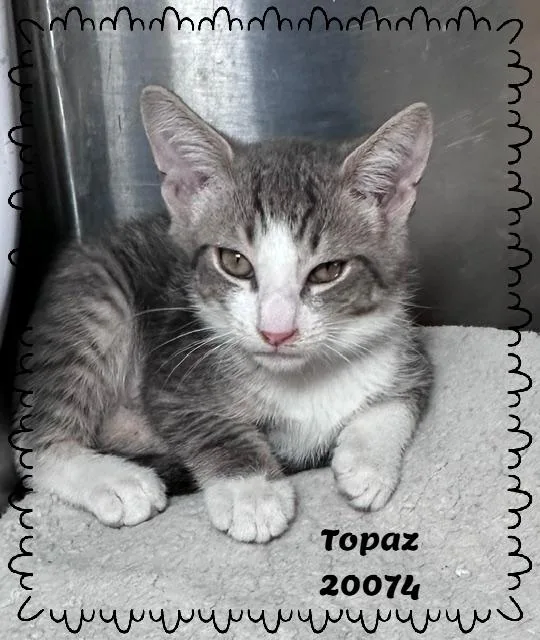 Topaz thumbnail 4