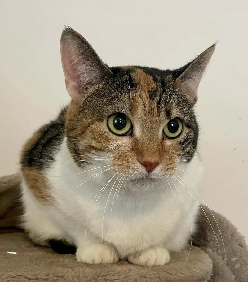 Mary  Md thumbnail 2