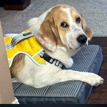 Gus