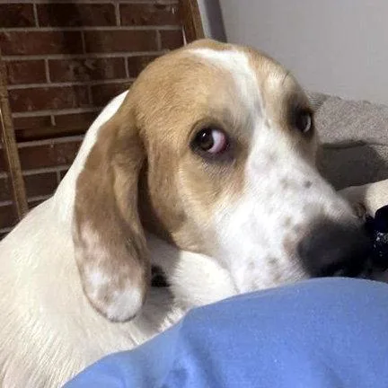 Gus thumbnail 2