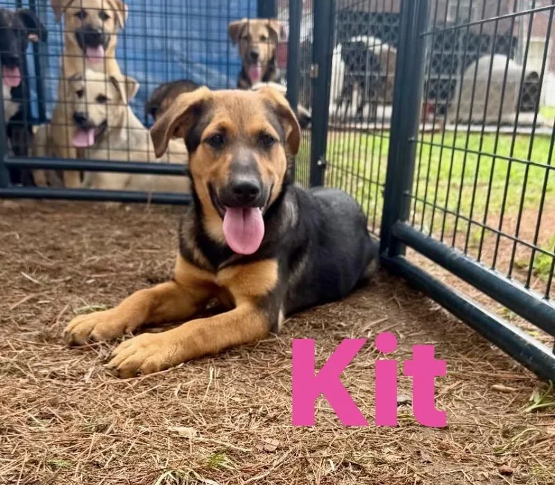 Kit