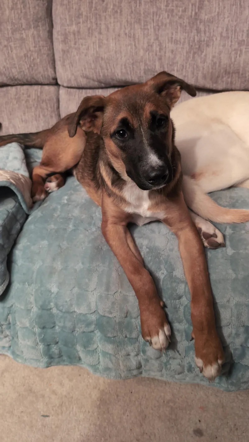Neteyam thumbnail 2