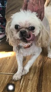 Georgina thumbnail 2