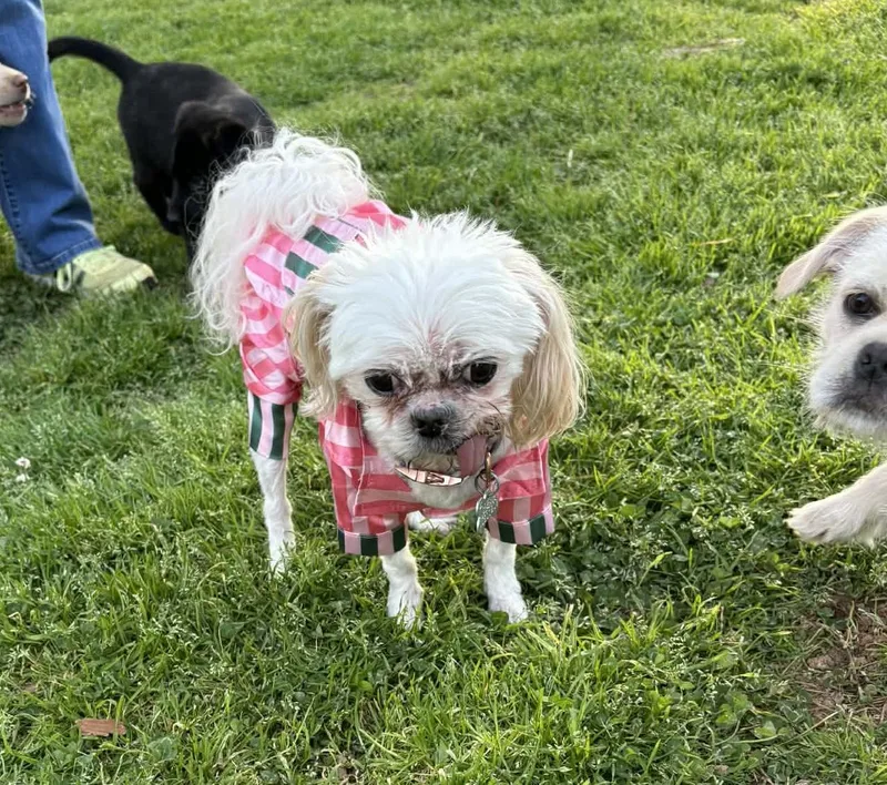 Georgina thumbnail 4