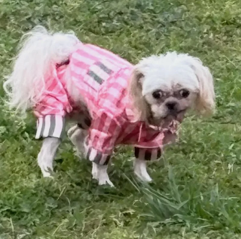 Georgina thumbnail 5