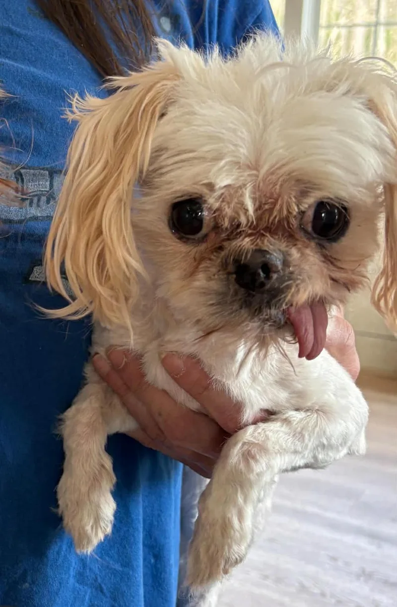 Georgina thumbnail 6