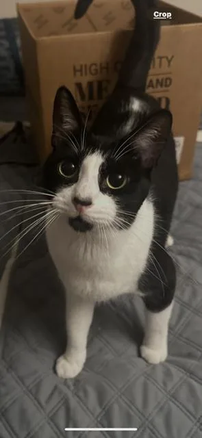 Michelin thumbnail 2