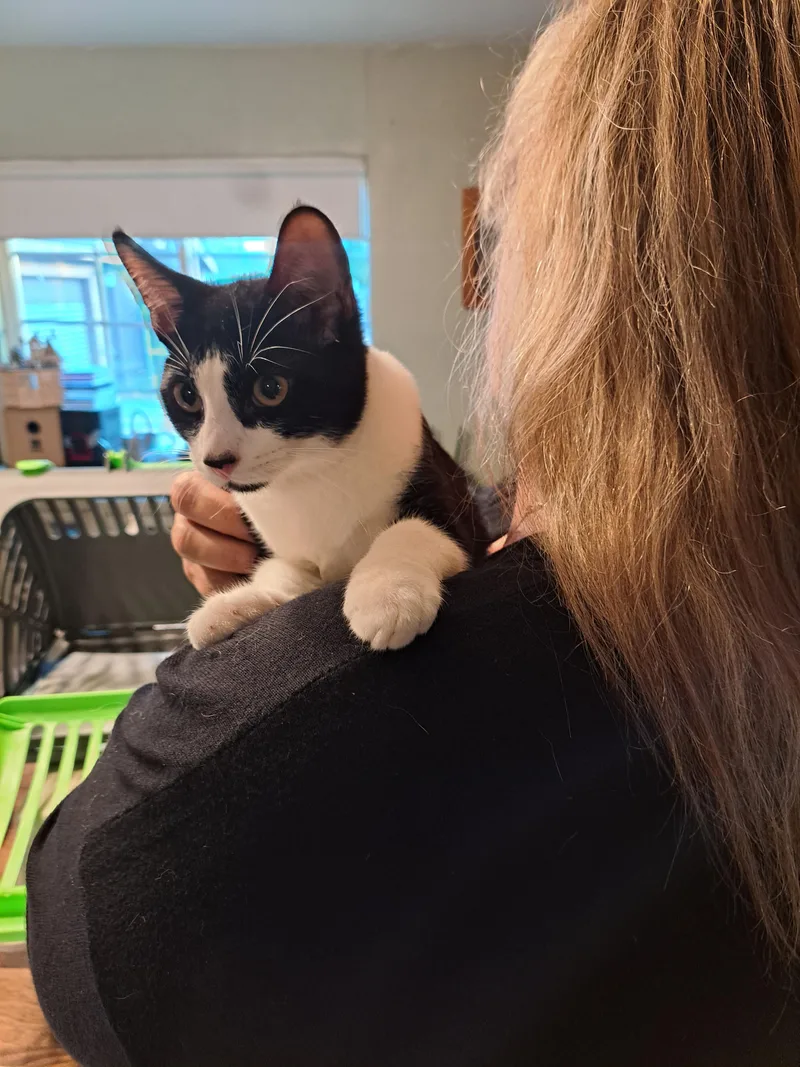 Michelin thumbnail 3