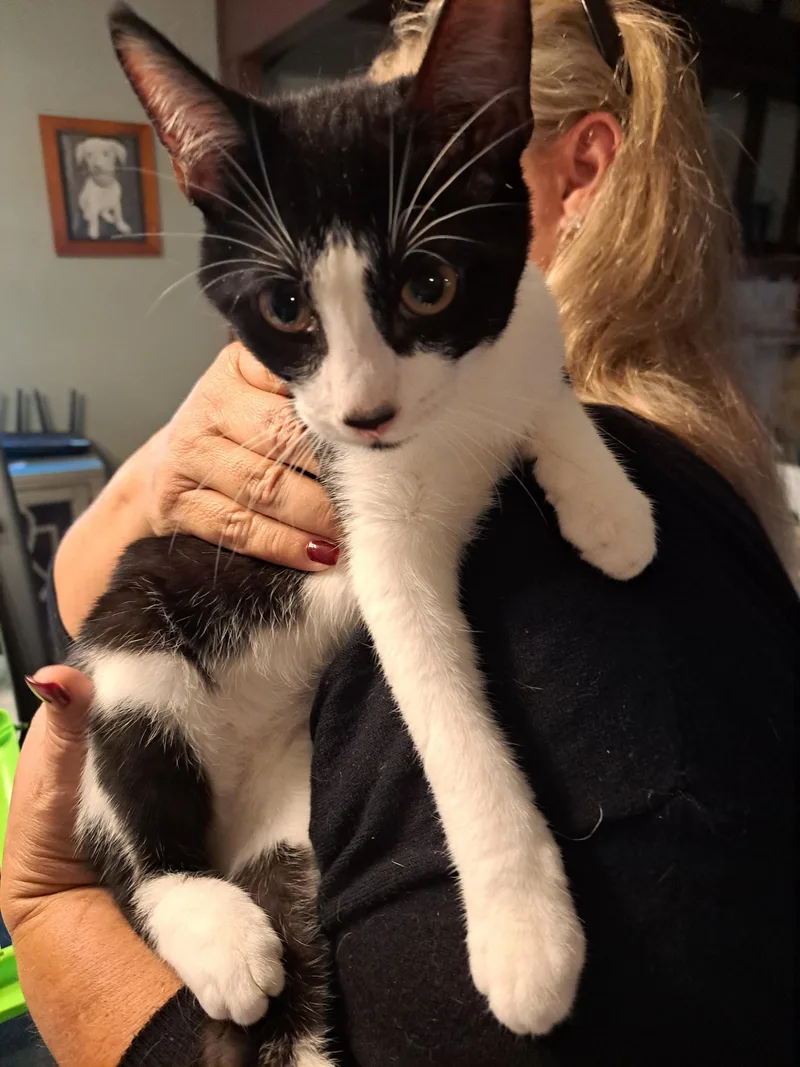 Michelin thumbnail 4