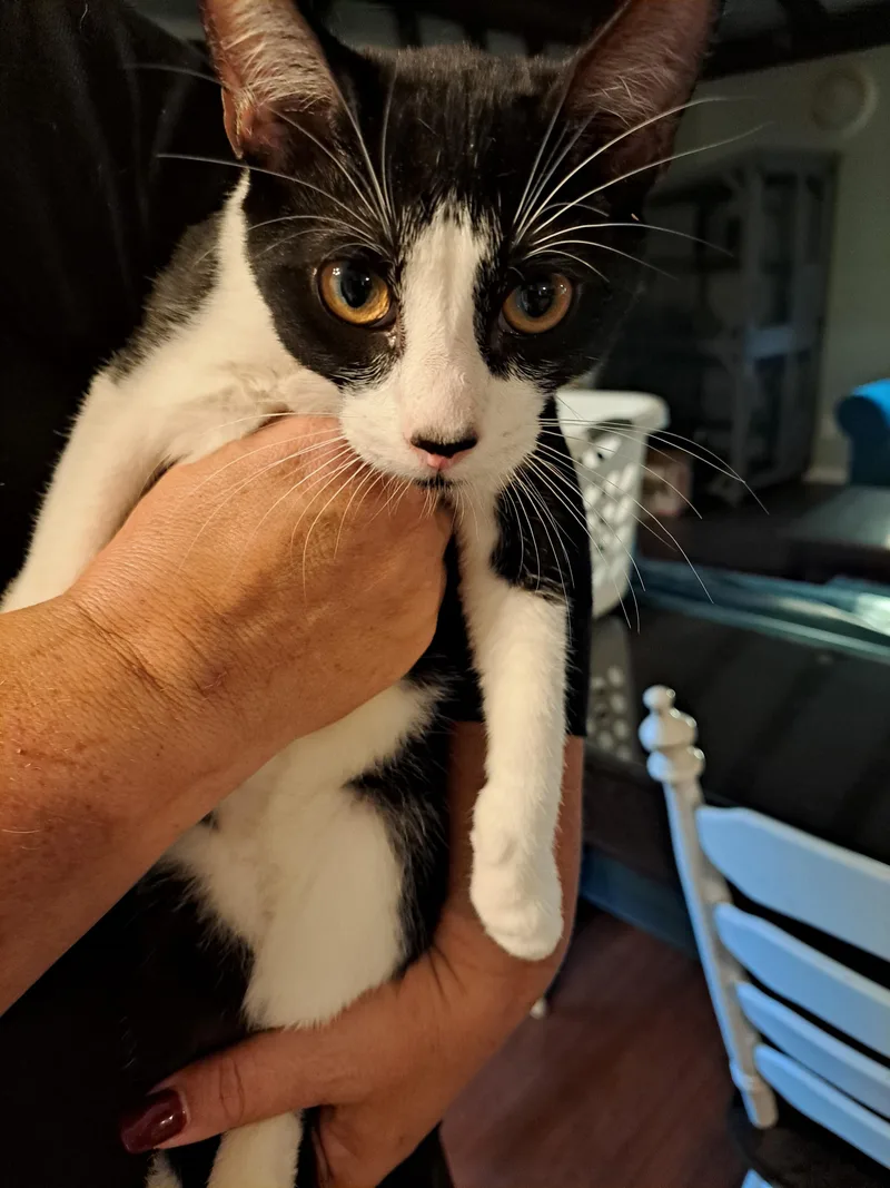 Michelin thumbnail 5