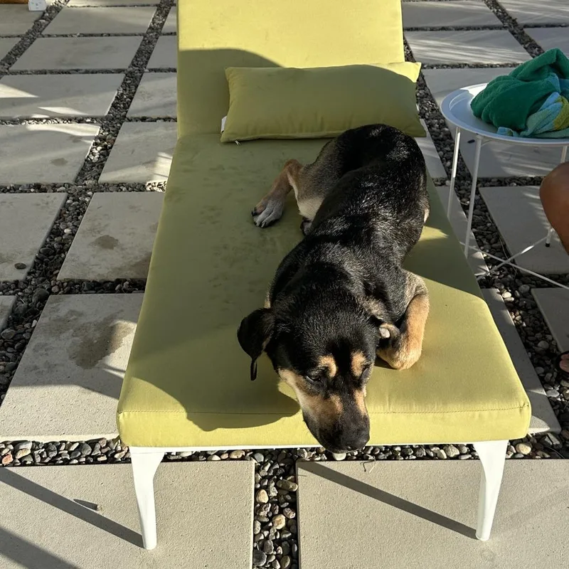 Little Girl thumbnail 3