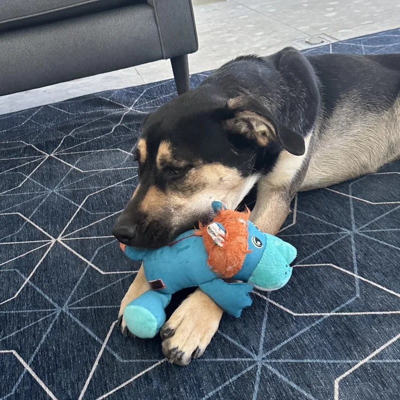 Little Girl thumbnail 4