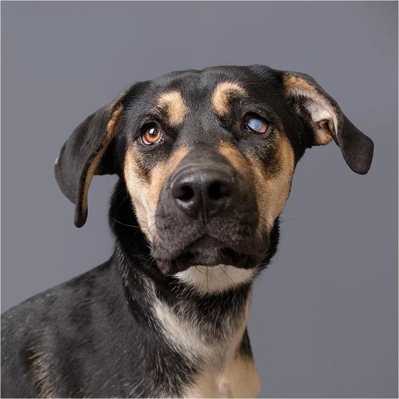 Little Girl thumbnail 5